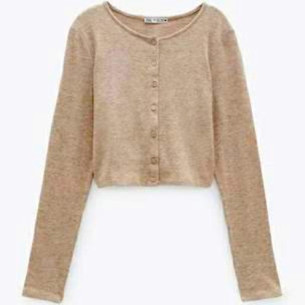 Zara Button-Up Sweater